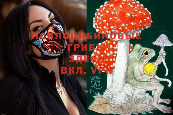 ПСИЛОЦИБИНОВЫЕ ГРИБЫ Краснотурьинск
