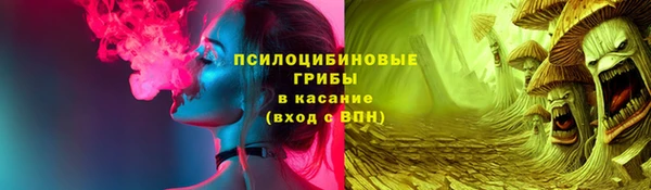 шишки Коряжма
