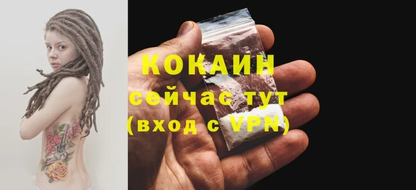 сатива Костерёво