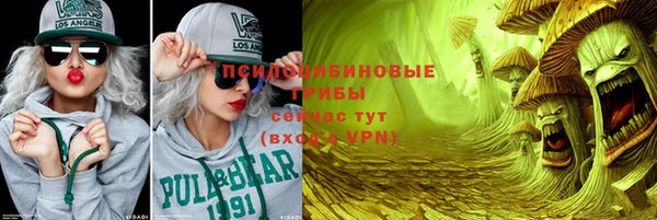 apvp Краснослободск