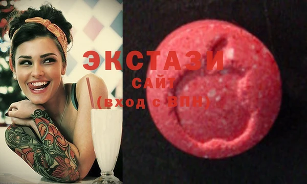 apvp Краснослободск