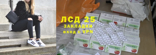 шишки Коряжма