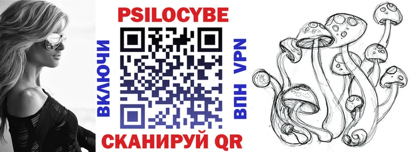 Псилоцибиновые грибы мицелий  Купить где  Бежецк 